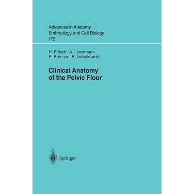 Clinical Anatomy of the Pelvic Floor