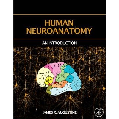 Human Neuroanatomy