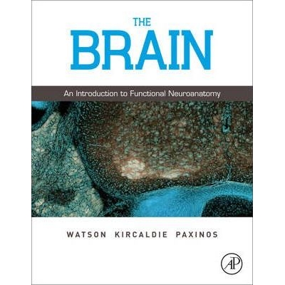 The Brain: An Introduction to Functional Neuroanatomy, 1st Edition