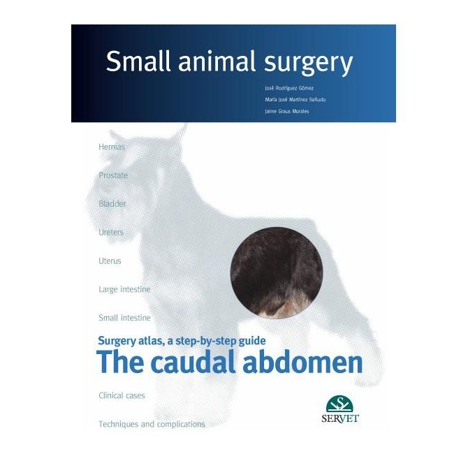 The caudal abdomen. Small animal surgery