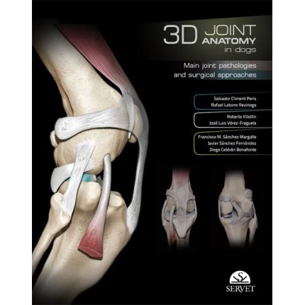 3D Joint Anatomy in Dogs. Main joint pathologies and surgical approaches, 1st Edition