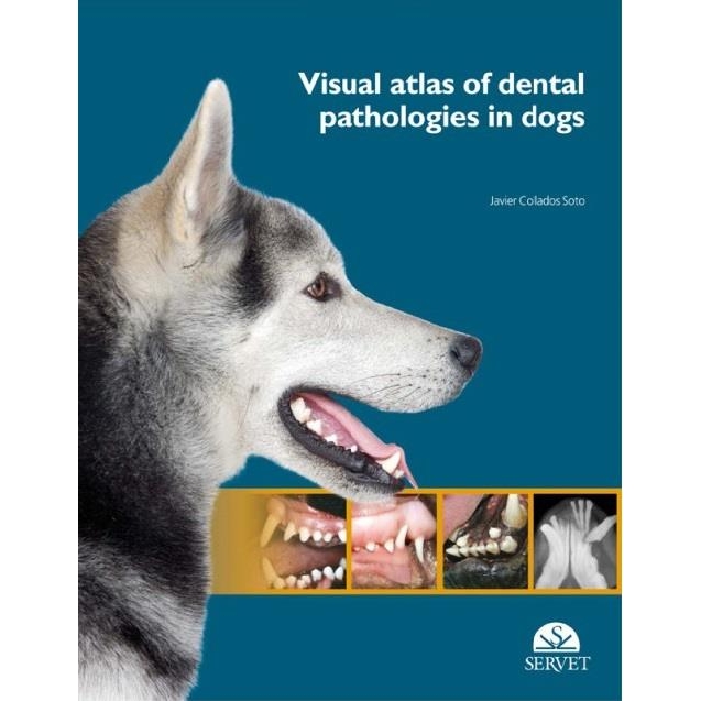 Visual Atlas of Dental Pathologies in Dogs
