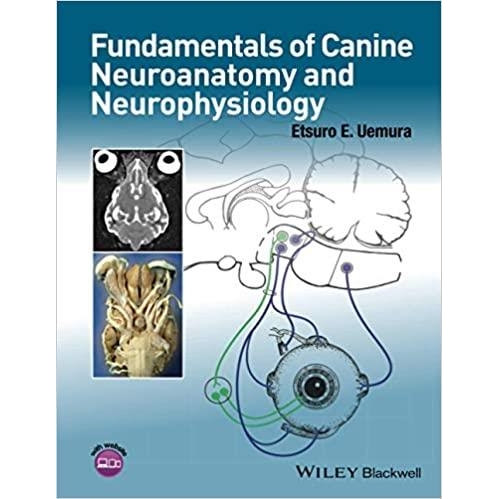 Fundamentals of Canine Neuroanatomy and Neurophysiology