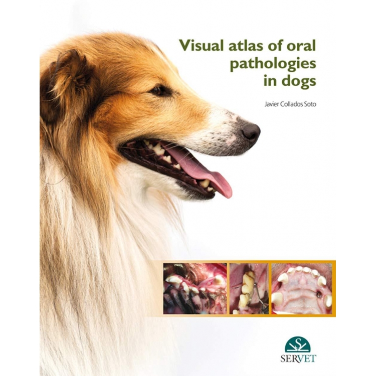 Visual Atlas of Oral Pathologies in Dogs