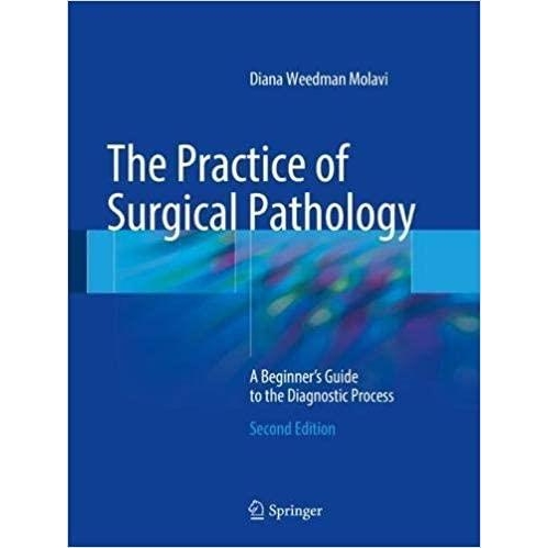 The practice of Surgical Pathology A Beginner`s Guide to the Diagnostic Process