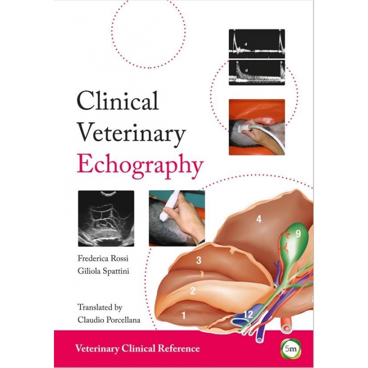 Clinical Veterinary Echography, 1st Edition