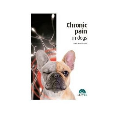 Chronic Pain in Dogs