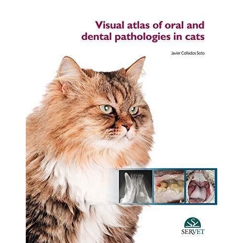 Visual atlas of oral and dental pathologies in cats