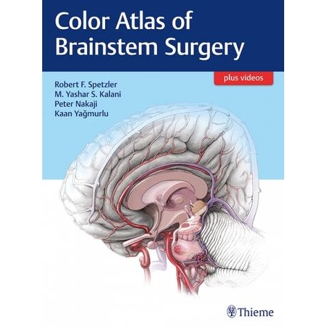 Color Atlas of Brainstem Surgery