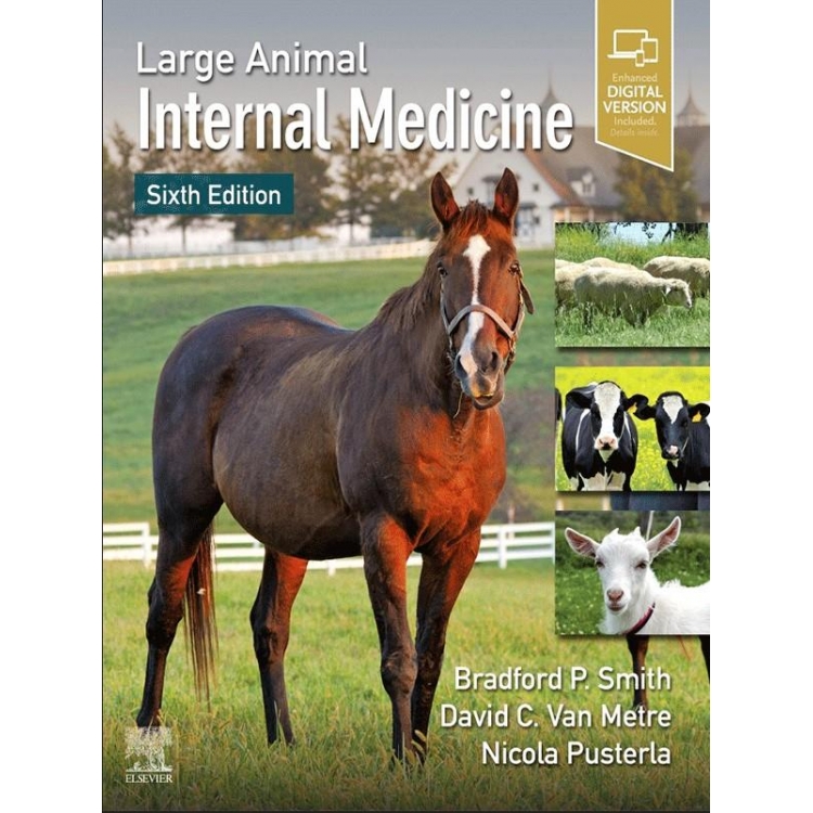 Large Animal Internal Medicine, 6th Edition