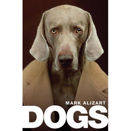 Dogs: A Philosophical Guide to Our Best Friends