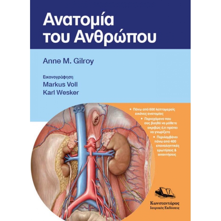Ανατομία του Ανθρώπου