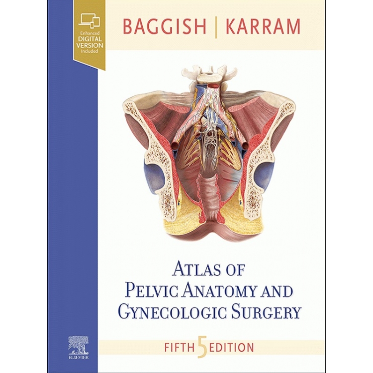 Atlas of Pelvic Anatomy and Gynecologic Surgery 5th Edition