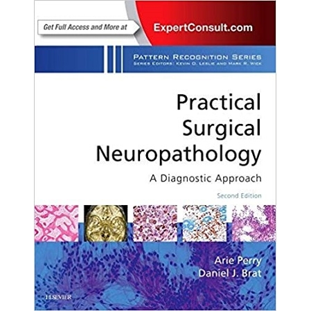 Practical Surgical Neuropathology A Diagnostic Approach A Volume in the Pattern Recognition Series 2nd Edition