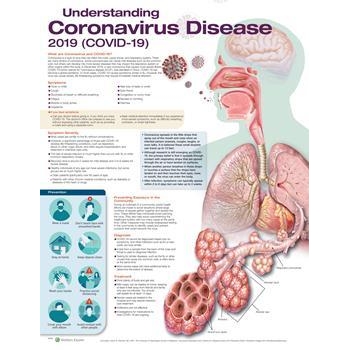 Understanding Coronavirus Disease 2019 (COVID-19)