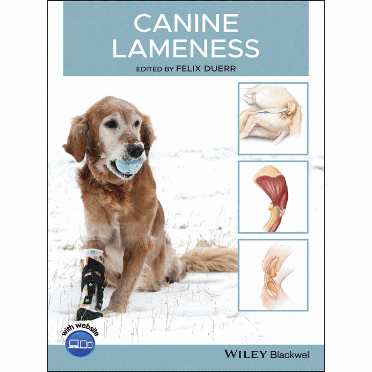 Canine Lameness