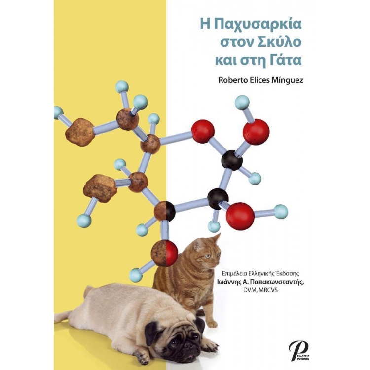 Η Παχυσαρκία στον Σκύλο και στη Γάτα