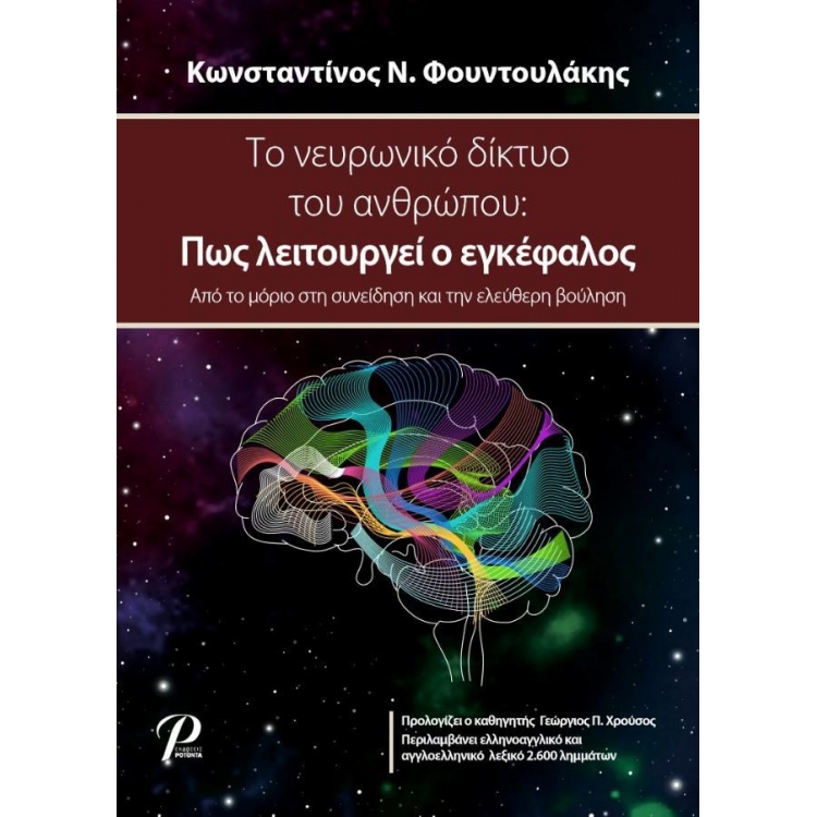 Το Νευρωνικό Δίκτυο του Ανθρώπου: Πως λειτουργεί ο Εγκέφαλος