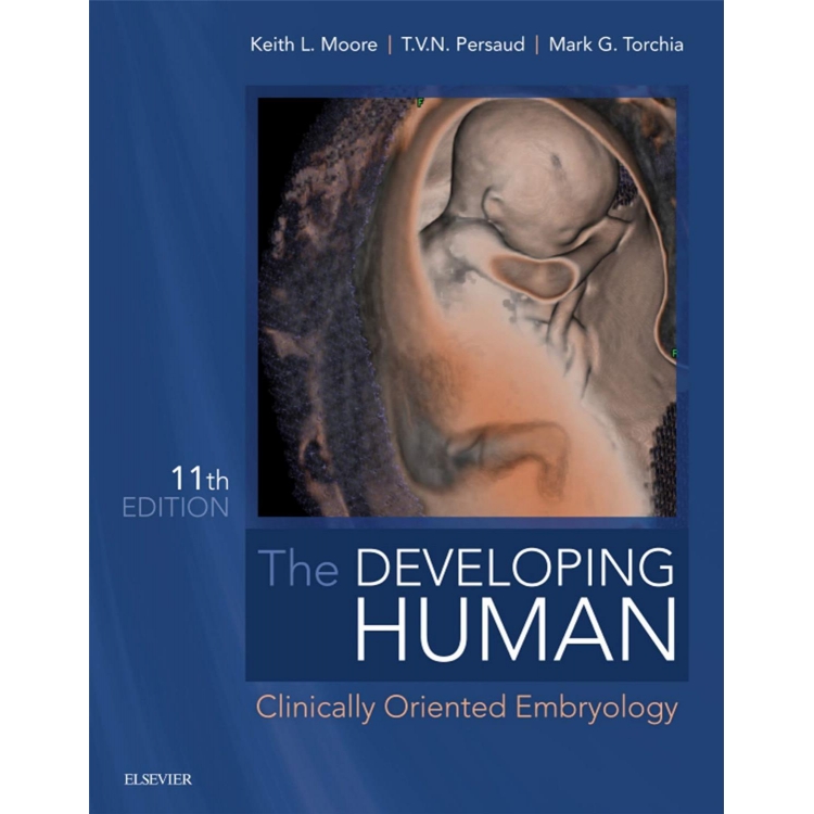 The Developing Human: Clinically Oriented Embryology, 11th Edition