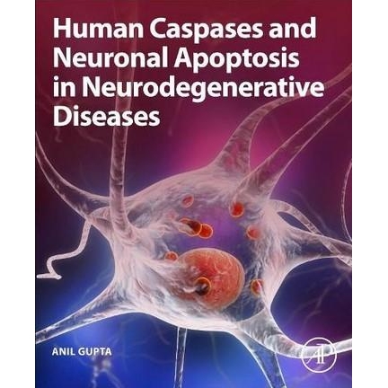 Human Caspases and Neuronal Apoptosis in Neurodegenerative Diseases