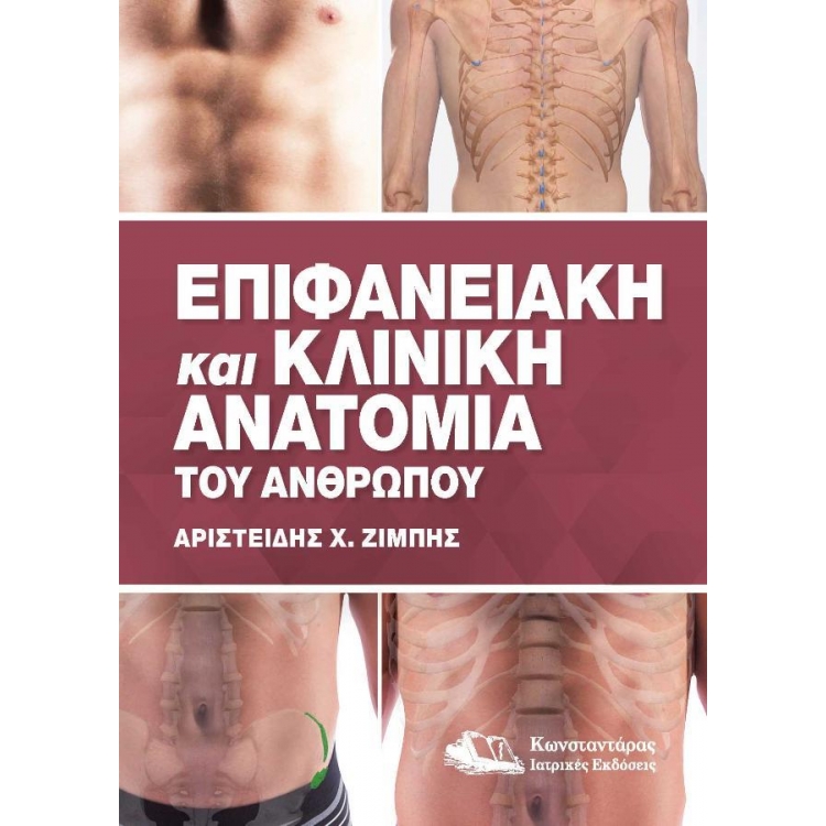 Eπιφανειακή - Kλινική Aνατομία του Aνθρώπου