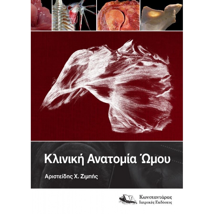 Κλινική Ανατομία Ώμου