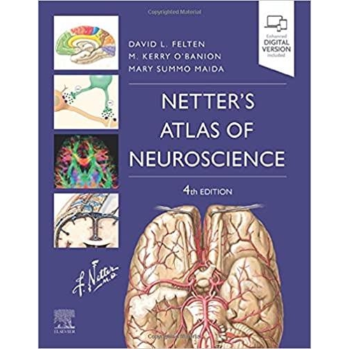 Netter`s Atlas of Neuroscience, 4th Edition
