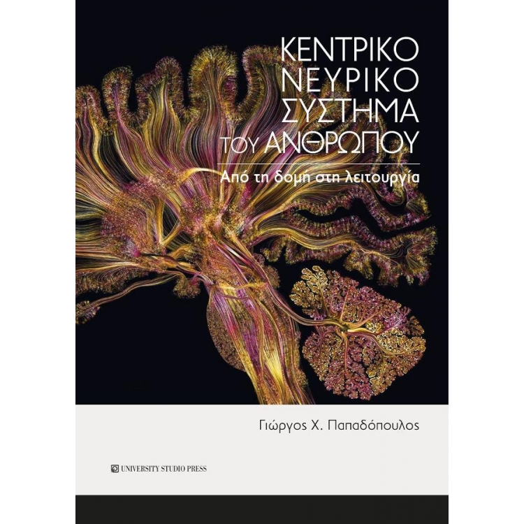 Κεντρικό Νευρικό Σύστημα του Ανθρώπου: Από τη Δομή στη Λειτουργία
