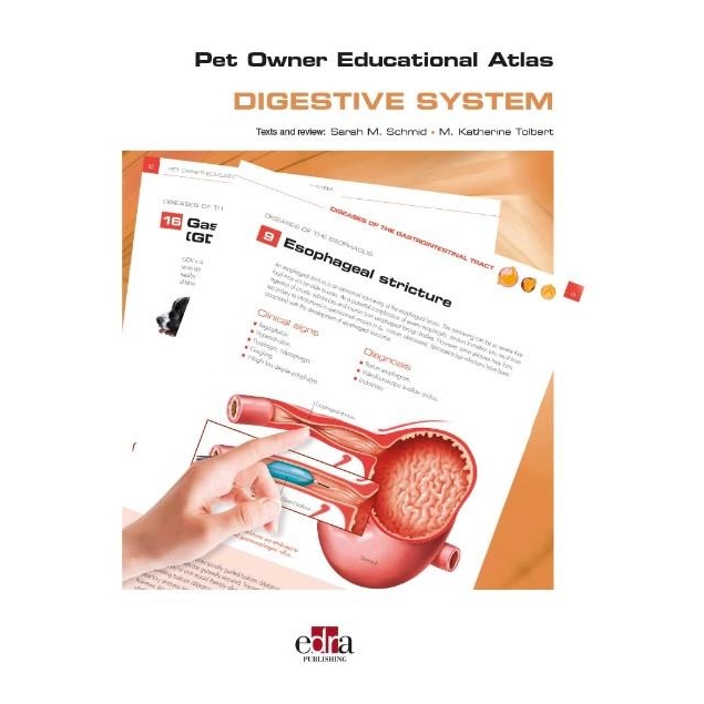 Pet Owner Educational Atlas. Digestive System, 1st Edition