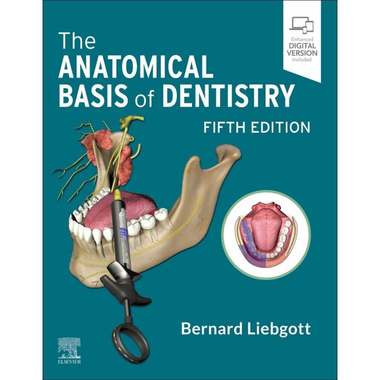 The Anatomical Basis of Dentistry 5th edition