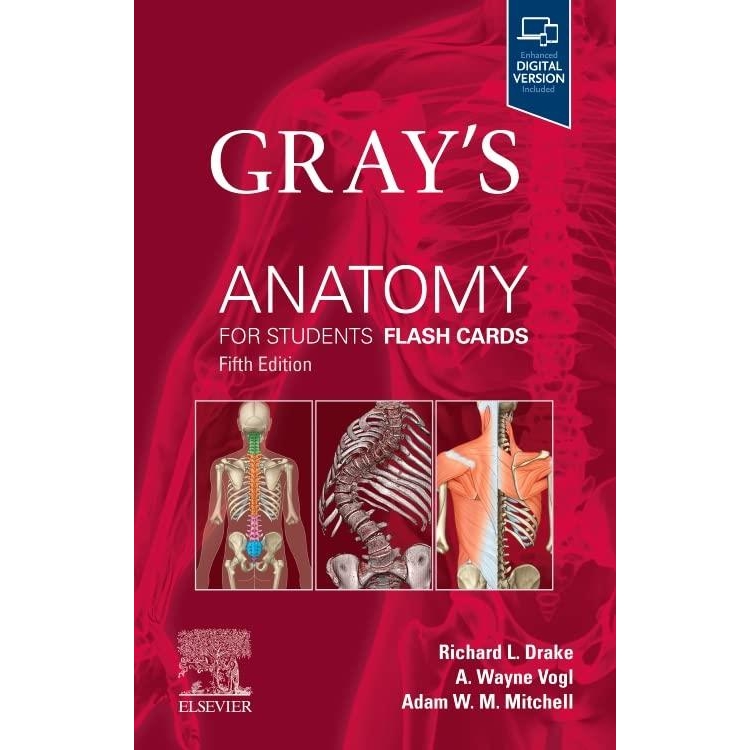 Gray`s Anatomy for Students Flash Cards, 5th Edition