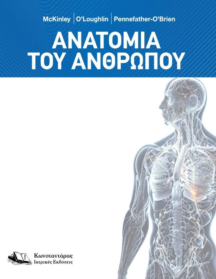 Ανατομία του ανθρώπου