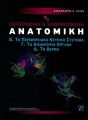 Περιγραφική & Εφαρμοσμένη Ανατομική, Τόμος Β`