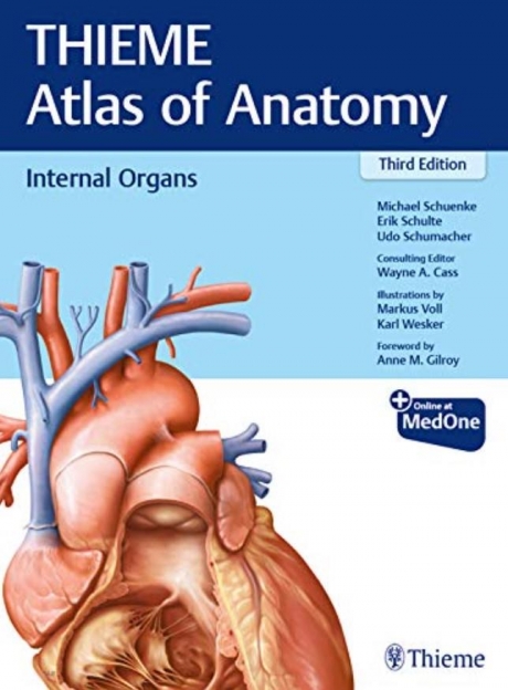 Internal Organs (THIEME Atlas of Anatomy) 3rd ed