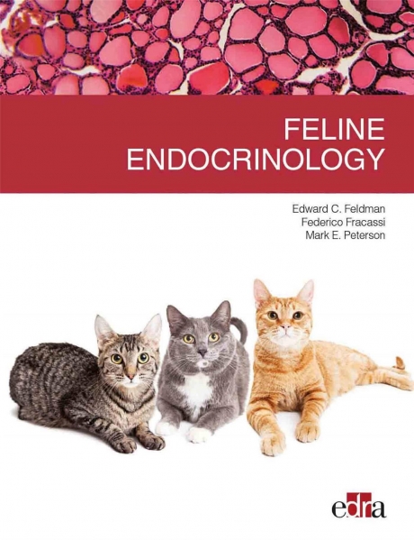 Feline Endocrinology