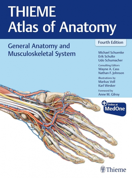 THIEME Atlas of Anatomy: General Anatomy and Musculoskeletal System