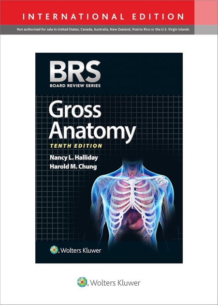 BRS Gross Anatomy, 10th edition, IE
